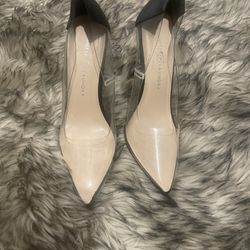 Clear Pointed Toe Heel With Black Heel 