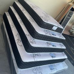 Nuevos Todos Tamaños Disponibles 