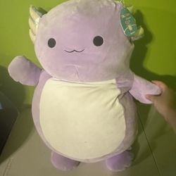 Monica purple Hug Mees stuffed animal Squishmallows
