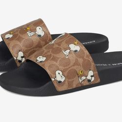 BNIB Coach & Peanuts Colaberation Slides Mens Size 8