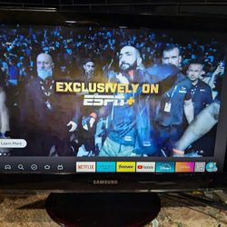 Samsung TV/Computer Monitor 
