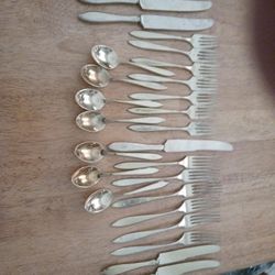 Dirilyte Flatware   27 Pieces. Need Polished 