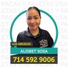 Pacas Y Paletas SalesRep Alis
