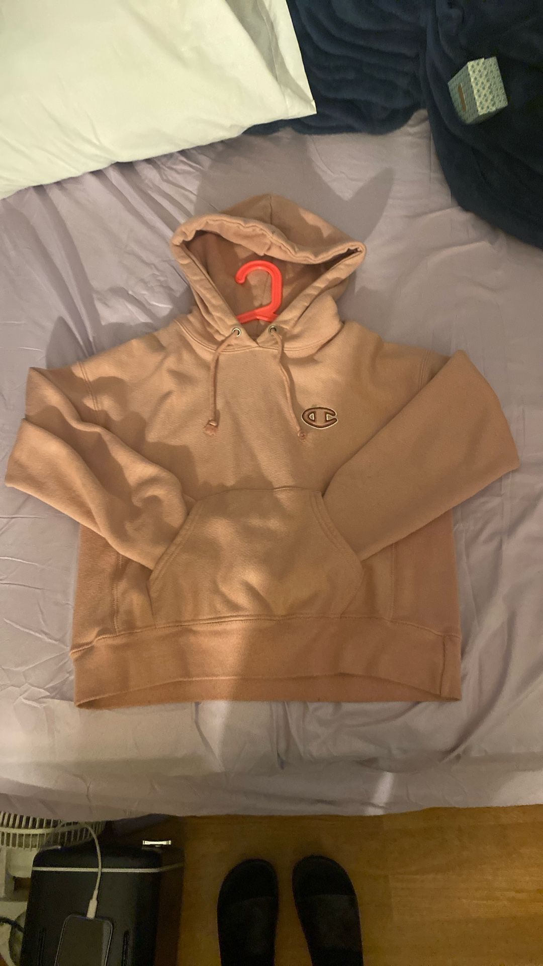 Champion sweater