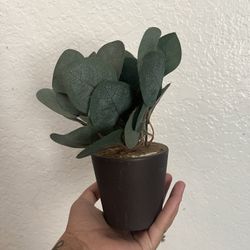 Faux Decorative Plant $2