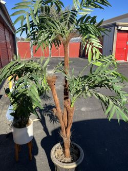 Artificial Plant