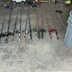 Lot Of Fishing Rods