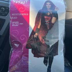 Halloween Costume 
