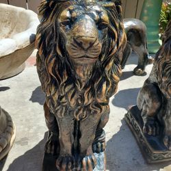 Lions For Sale