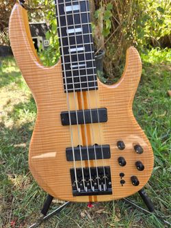 Carvin 5 String Bass