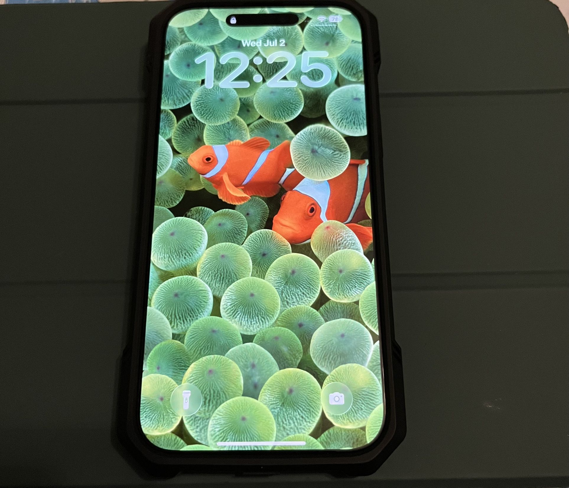 Unlocked-iPhone 16 Pro Max-256GB