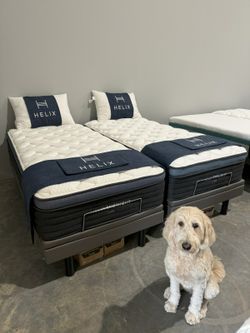 Wake up Happy! New Mattresses! !!