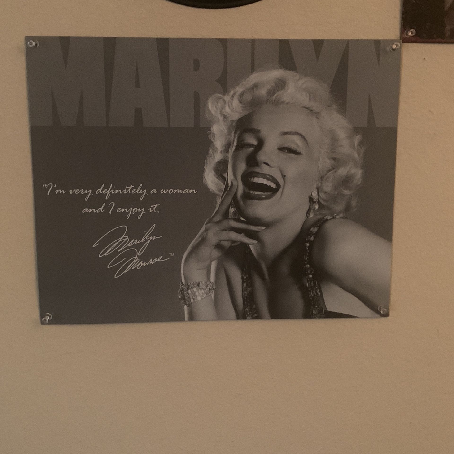 Marilyn Monroe poster(Metle)