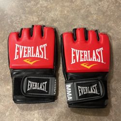 MMA Gloves