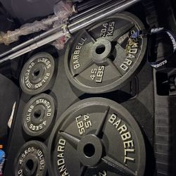 Very nice looking Brand new 45, 35 lb, and 25 lb Olympic weight plates.  Pair of 45s =$110 Pair of 35s=$90 Pair of 25s=$70 Pair of 10s= $30 Pair of 5s