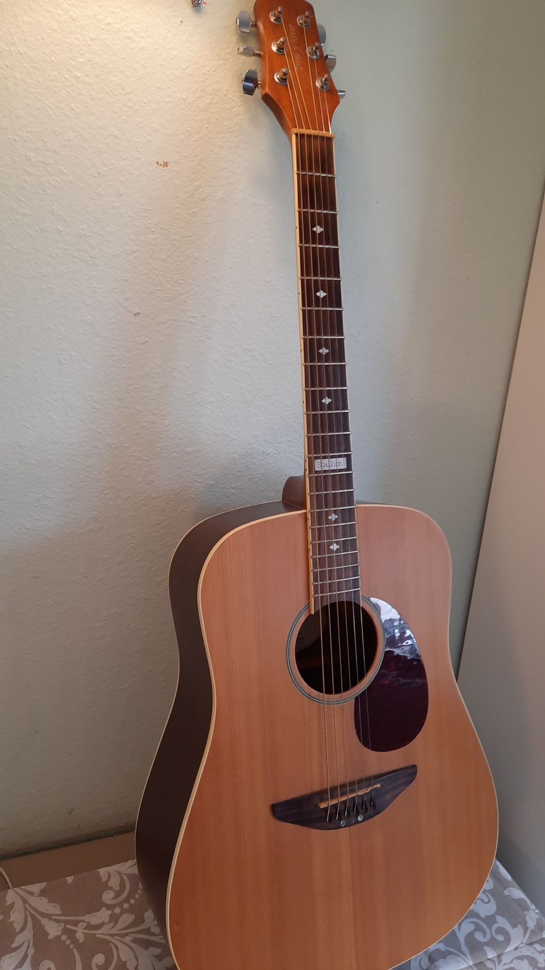 Acoustic Guitar With Hard Case