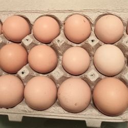 Fresh Cage-free Eggs