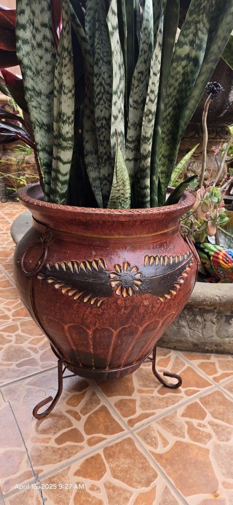 large plant pots with plants. 