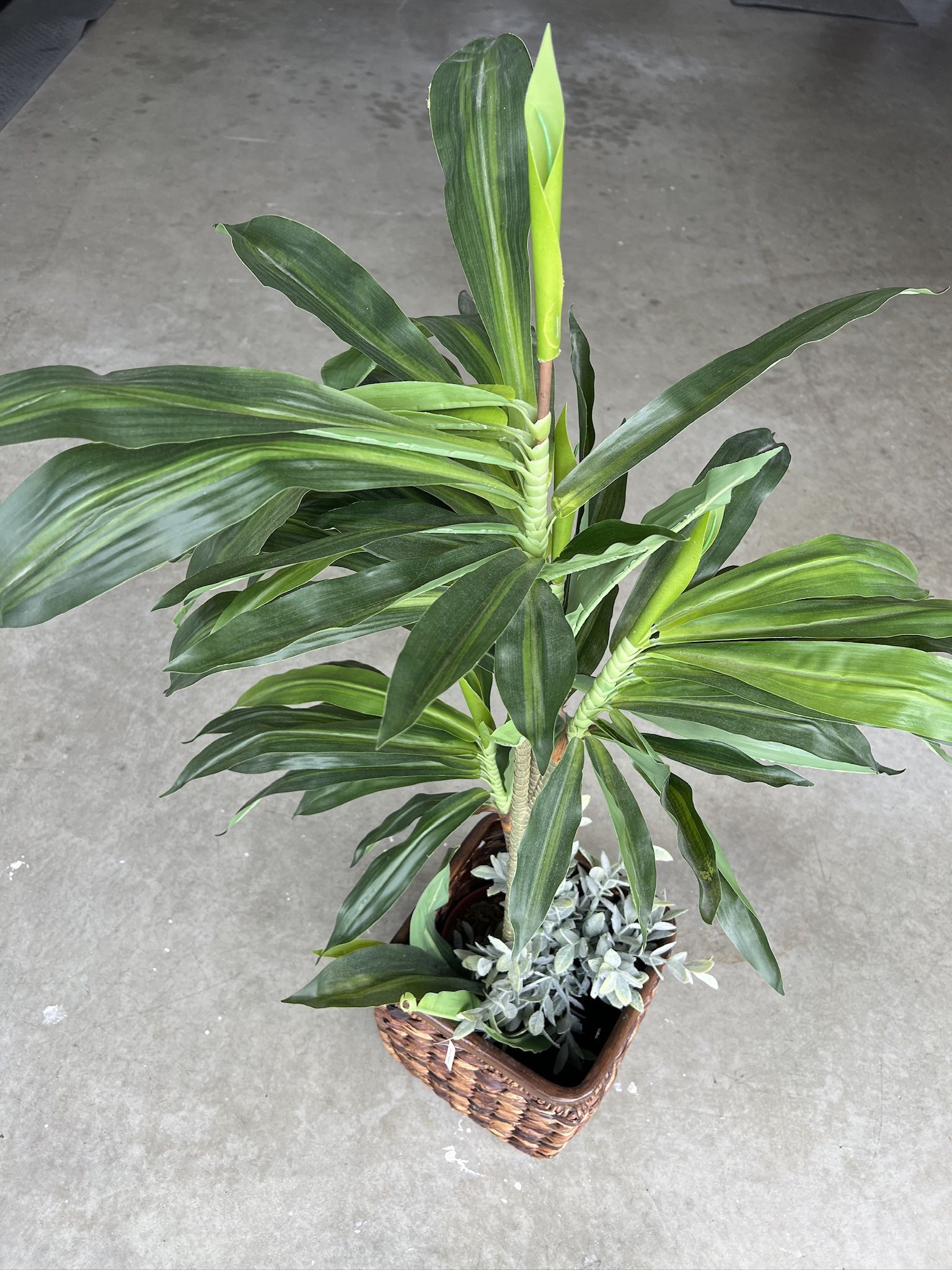 Faux Plant