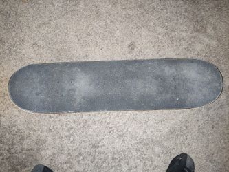 Santa Cruz Skateboard