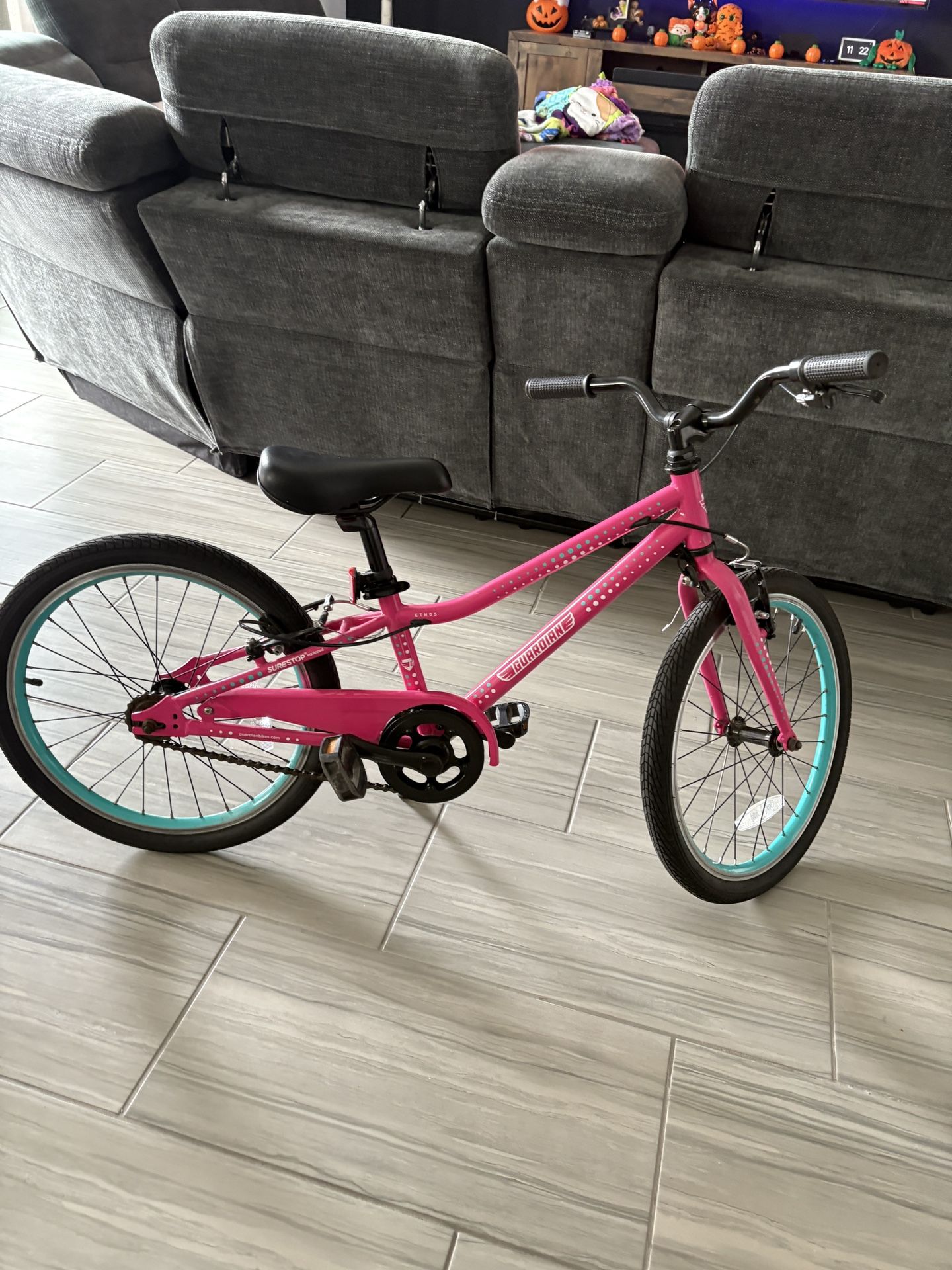 Guardian 20 Inch Bike