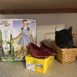 The Wizard of Oz Dorothy Kids Costume
