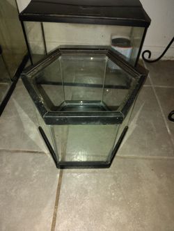 Fish Tank 