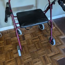 Extra Wide Foldable Buggy 