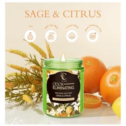 Sage And Citrus Odor Eliminating Candle 