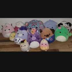 Squishmallows Lot of 12 Softest Cutest Cuddliest Plush Toy
