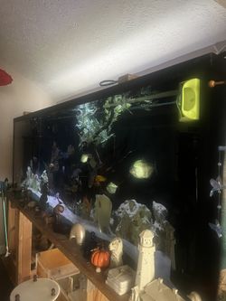 400 litre fish tank hotsell