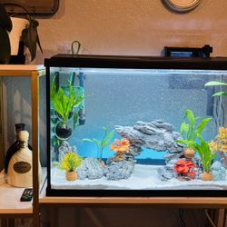 29 Gallon Tank with Stand (No Fish Included)
