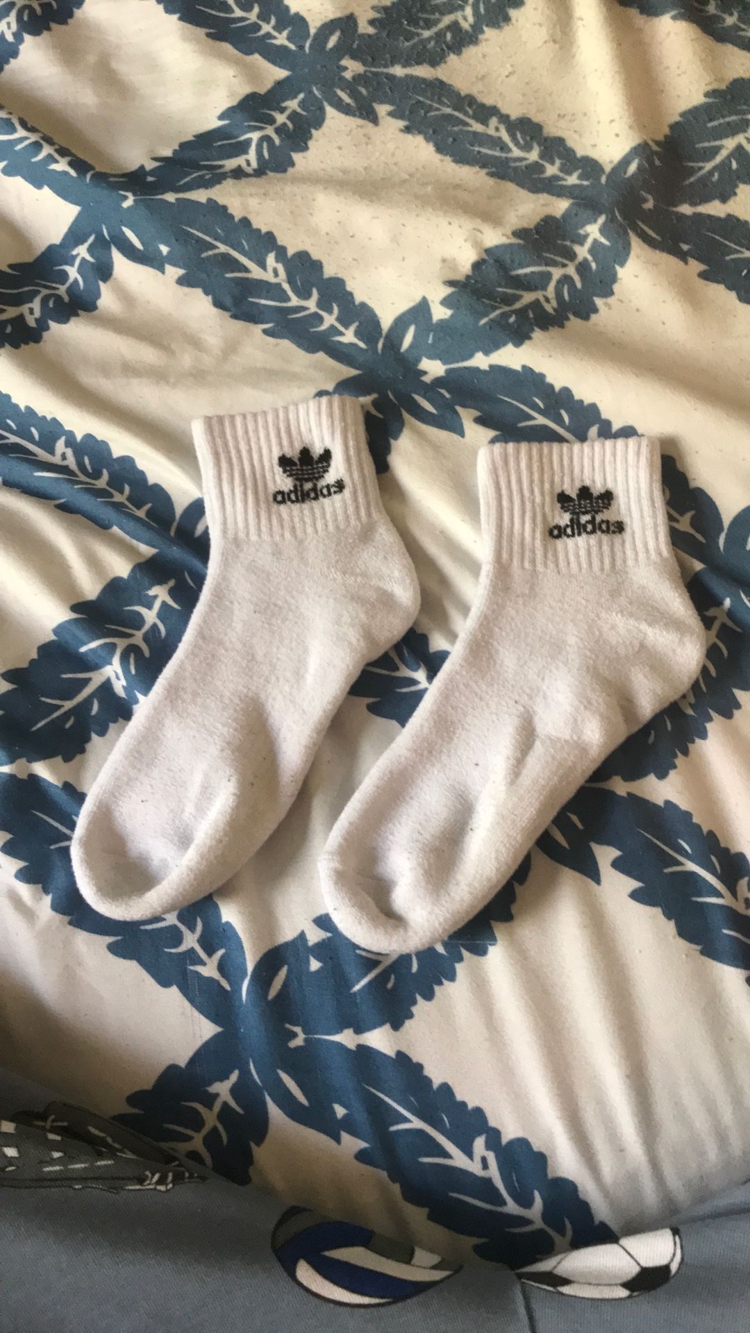 Adidas Socks (Youth size 5-7 in shoes)