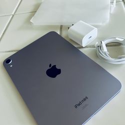 Apple iPad Mini (2025 Model) 256GB! WiFi Paseo Very Light Purple Tint Color! Brand New With Apple 1 Year Warranty Till 7/2026!! 