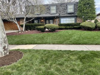 Landscape Clean Ups Mulch