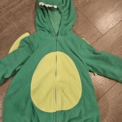 Dragon Costume