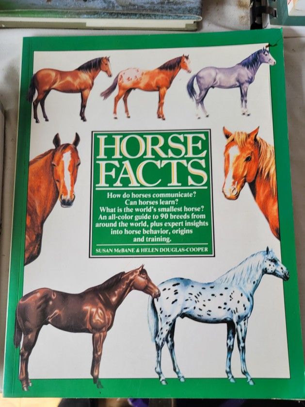 Farm - Horse Facts