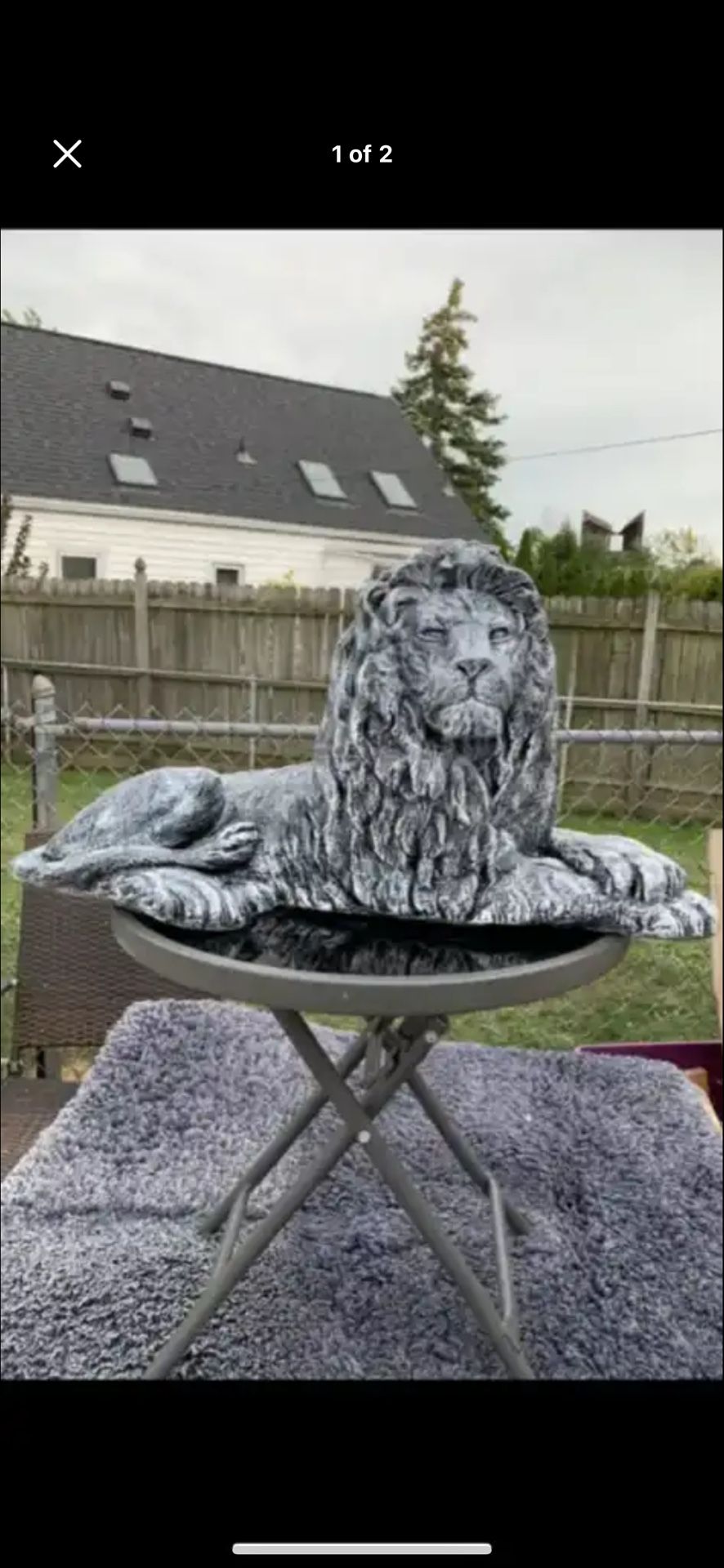 Stone Color, Lion Statue