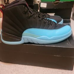 Jordan 12 Gamma Size 11
