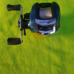 Pacifica Baitcaster Great For Bass ,Cats 