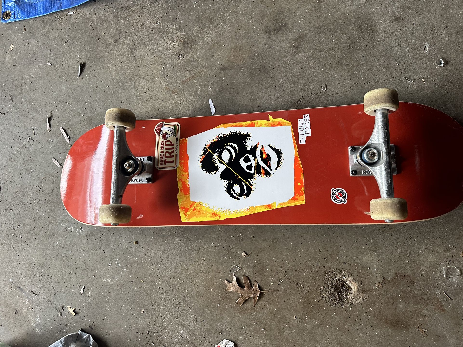 8.25 Baker Skateboard With Royal Trucks