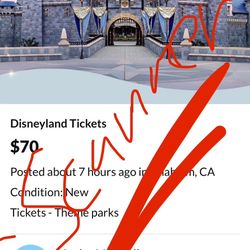 Disneyland Ticket Scammer
