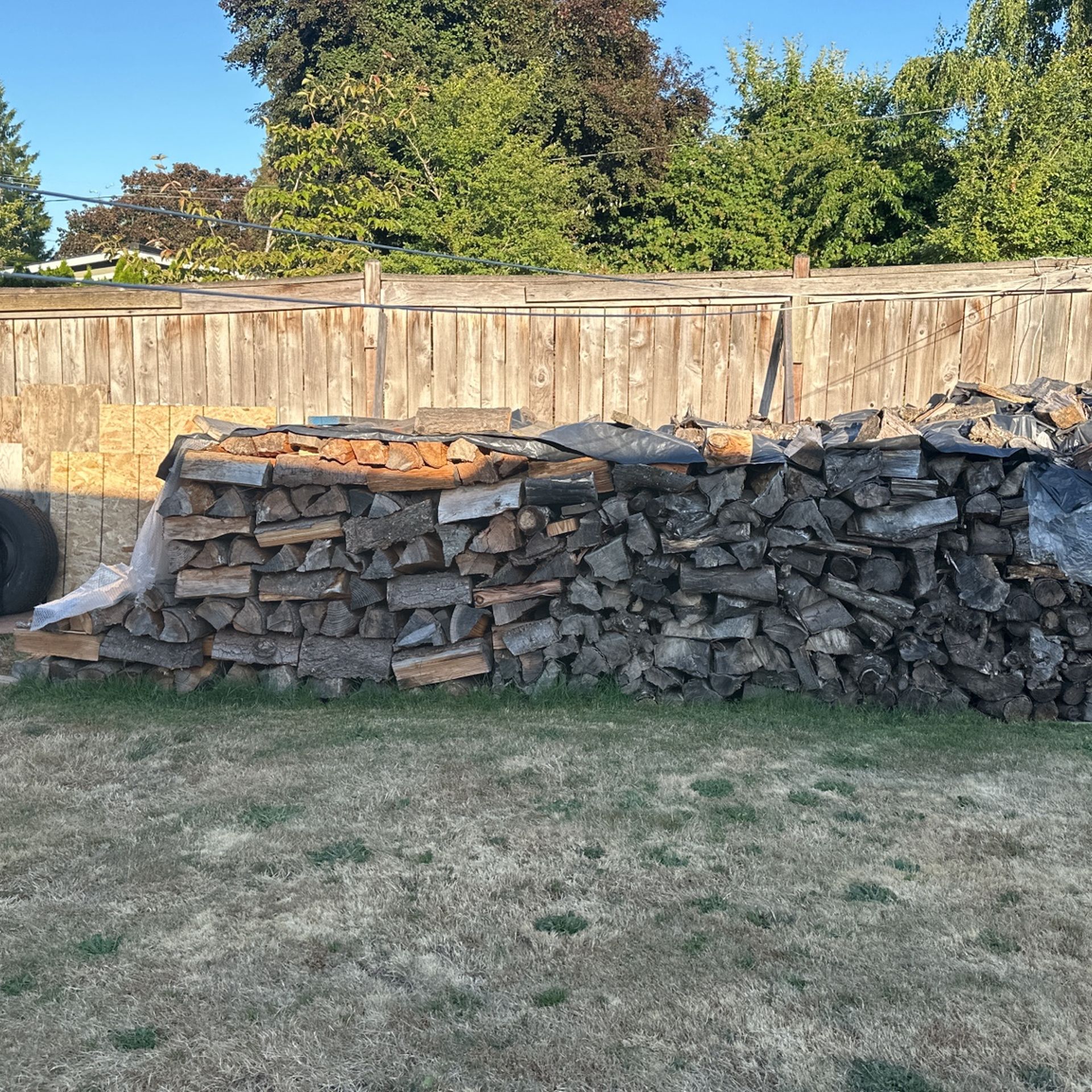 Free Wood In Bellevue 