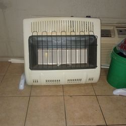 Gas Heater Wallmout Or Floor