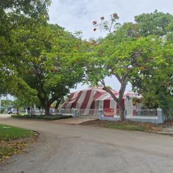 Termite Tent