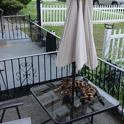 Table and chair