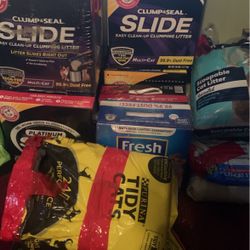 Kitty Litter 