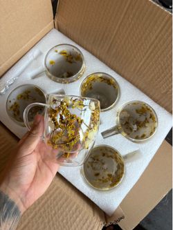 ✨ Brand New Set of 6 Double-Wall Glass Floral Coffee & Tea Mugs