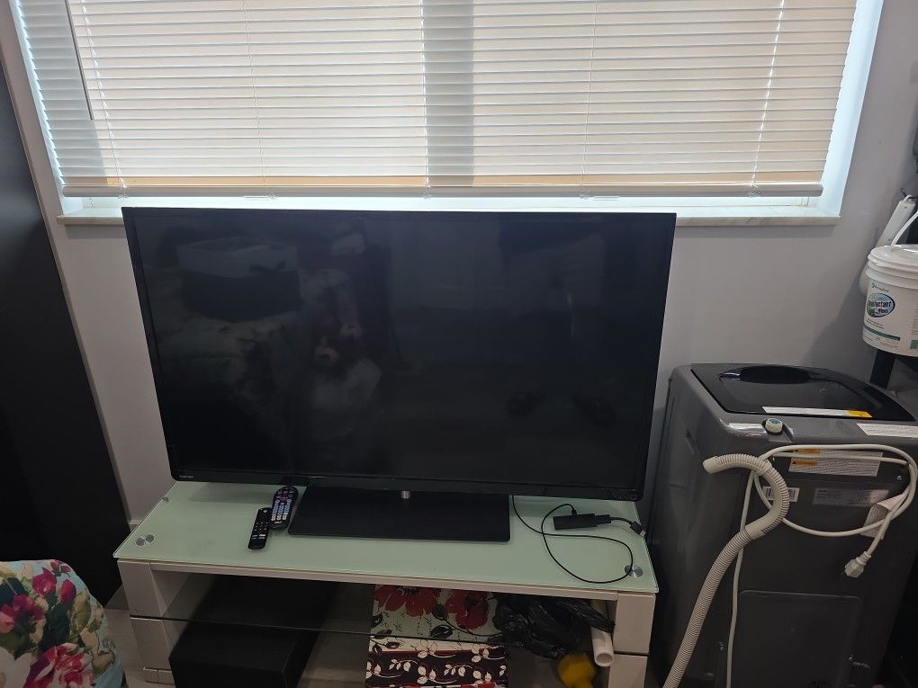 50 In Toshiba