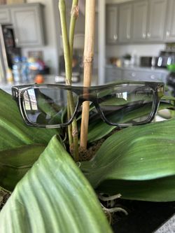 Christian Roth SunGlasses